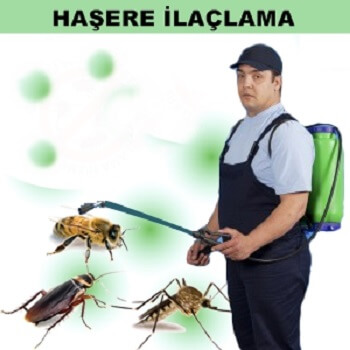 Sarıkamış Böcek İlaçlama